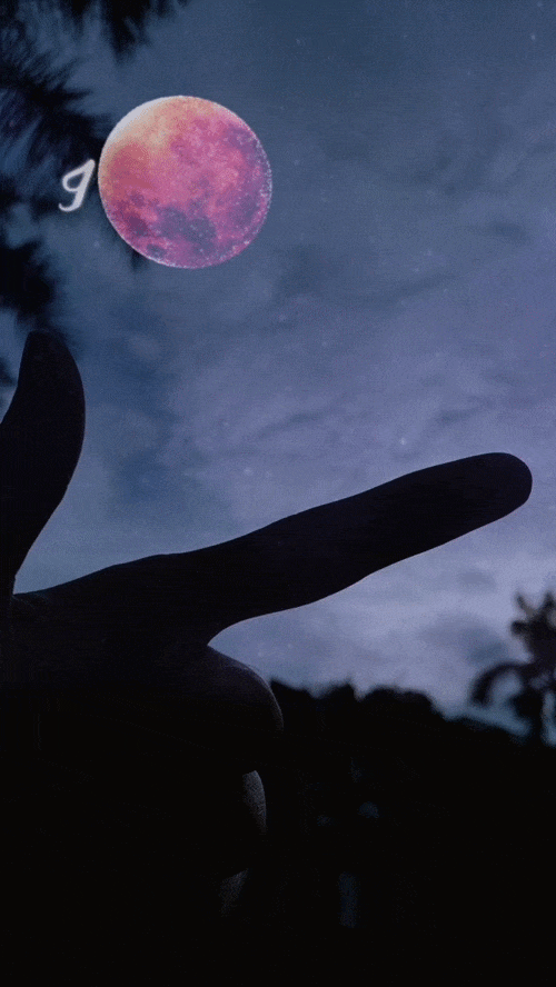 500_888竖版 竖屏gif 动态图 动图