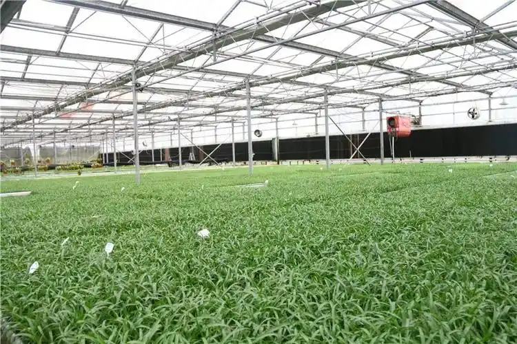 洛江区领导杜韶山,谢卫东,马瑞英;盐池县党委代表团施铉峰,徐情根,吕