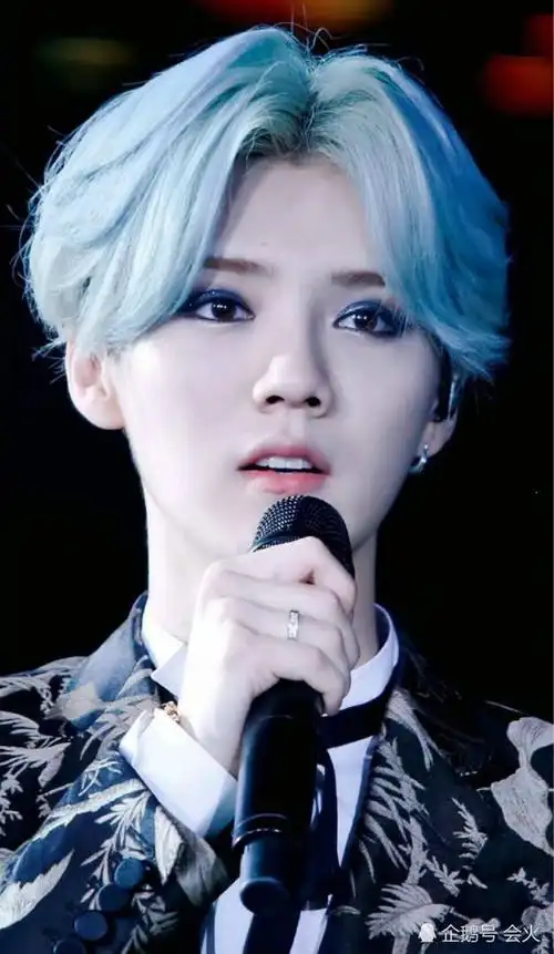 近几年鹿晗的舞台妆容都非常的精致,除了红发还有别的精致发色.