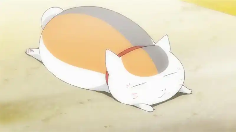 夏目友人帐 夏目友人帐 妖怪联络簿 动漫 二次元 动画 截图 治愈 妖怪