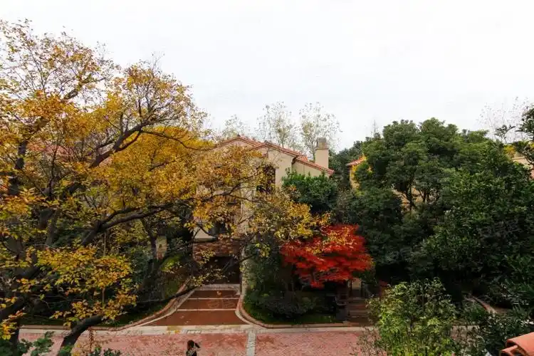 长泰西郊别墅,泗砖南路1500弄-上海长泰西郊别墅二手房,租房,房价