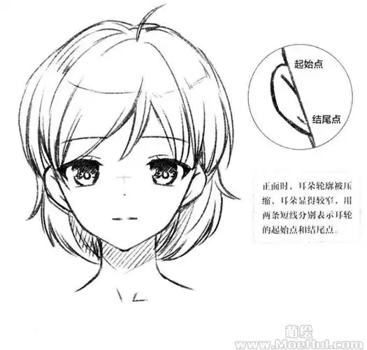 零基础漫画入门5鼻子嘴和耳朵