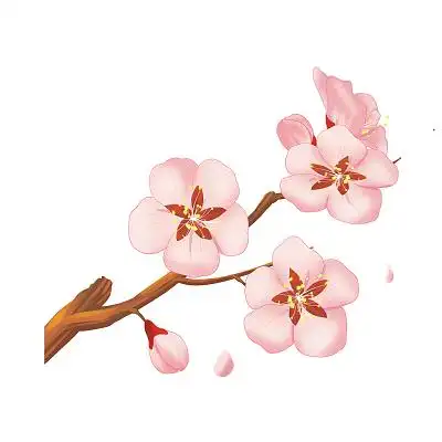 手绘卡通桃花春天元素花开粉色元素