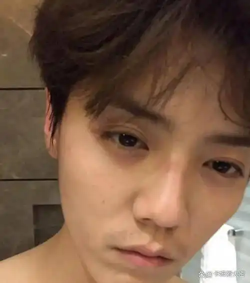 告别美食博主之后,鹿晗化身宠物博主?素颜出境成亮点