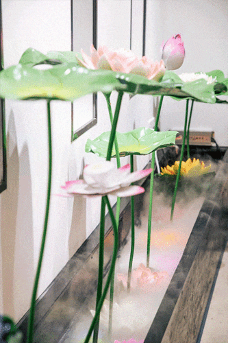 500_750竖版 竖屏gif 动态图 动图