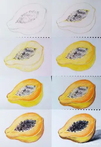 彩铅水果蔬菜步骤初学者手绘教程