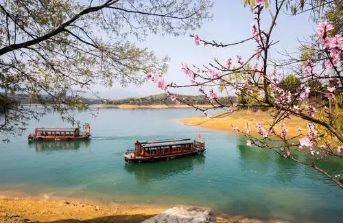 江西千岛桃花始盛开 大批游客赏花踏青