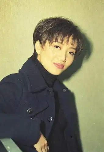 梅艳芳anitamui的图片