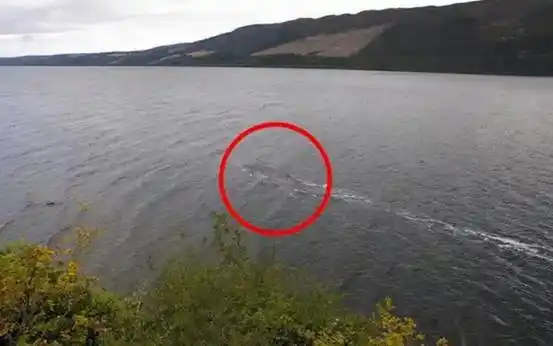 真是龙吗不断有人在长白山天池看到水怪脖子有1米长