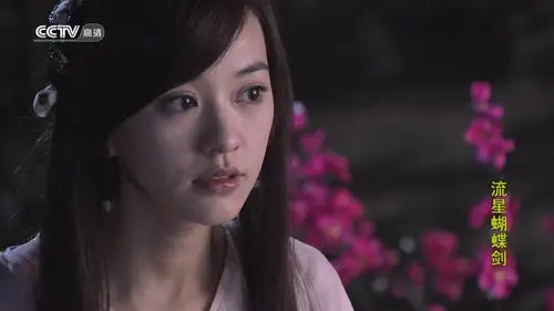 在那部电视剧的形象?