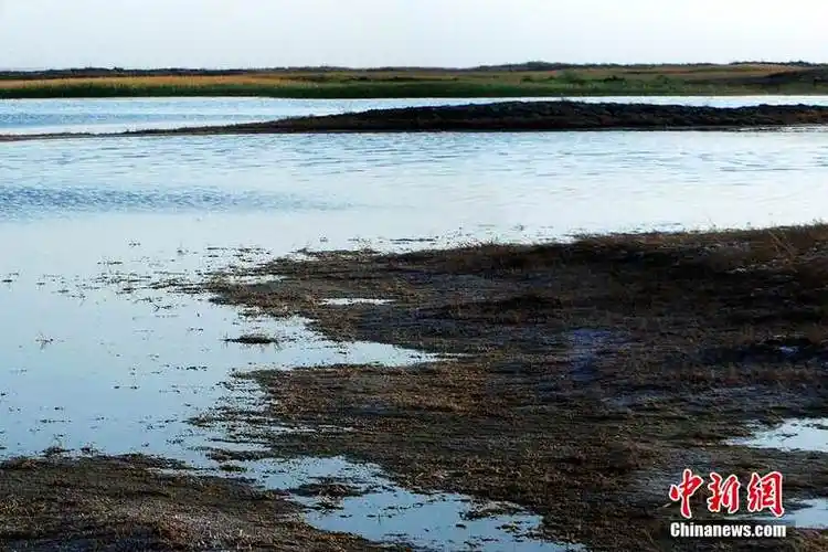 高清:探秘"死亡之海"罗布泊【6】