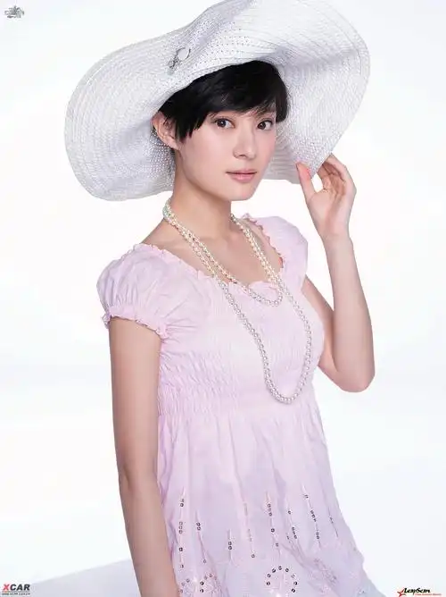 明星写真--孙俪 !