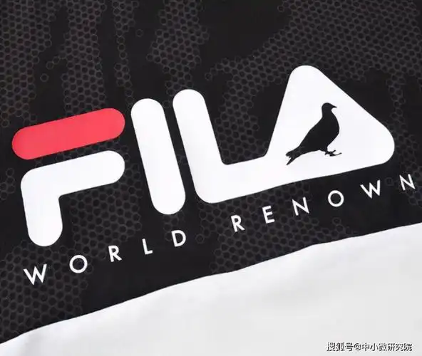 安踏一改斐乐以往的品牌定位和发展策略,转而切入国内的一二线城市,将