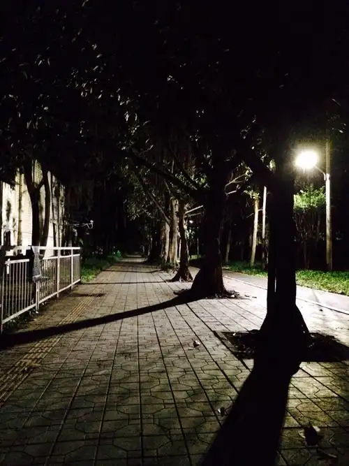 夜谧细无声,只是想念你的影子罢了.