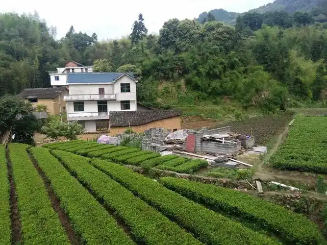 大搬快治篇6月7日,玉岩镇步新村地质灾害户完成房屋腾空.