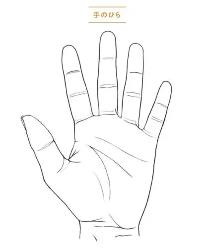 0基础手部怎么画?手掌绘画有技巧!