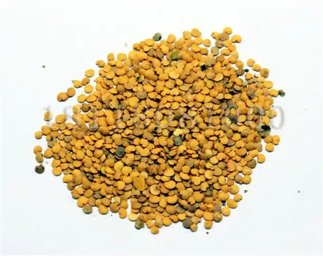 紫墨长茄 高产抗病 商品性好 紫茄子种子 长茄子籽 高产优质品种