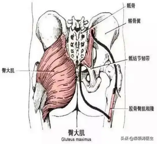 头条问答 - 天气一冷,左腿大腿后面的一根筋坐下就胀疼,站起来不疼了