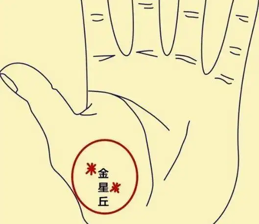 掌纹中金星丘代表什么?