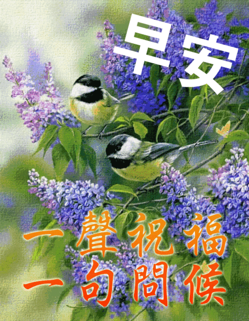 早上好动态图表情带字