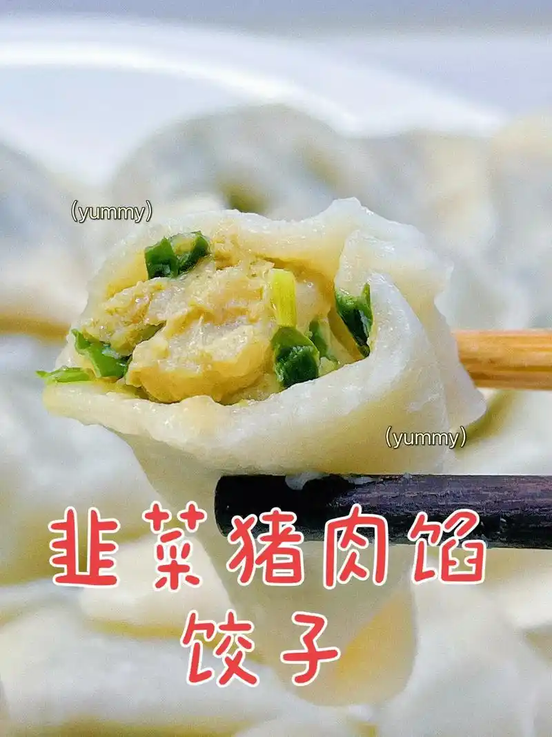 猪肉韭菜馅饺子这样调好吃到哭～猪肉不腥不柴,鲜嫩多汁,韭菜翠 - 抖