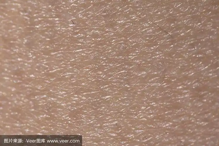 干的,纹理,皮肤,白色人种,水平画幅