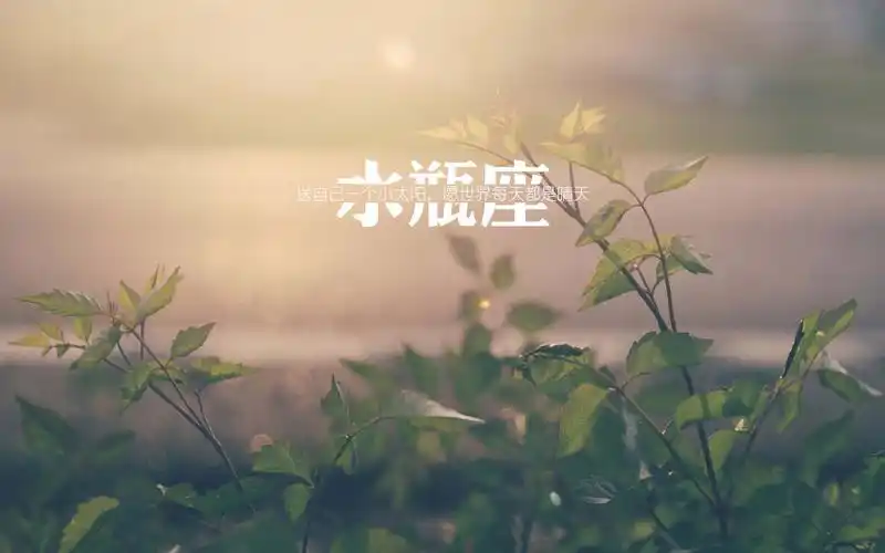 水瓶座唯美语录清新图片桌面壁纸下载3