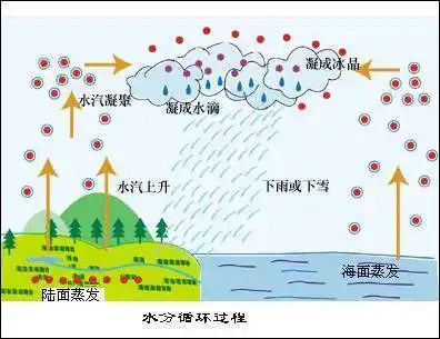物理水的三态变化手抄报 家乡的变化手抄报