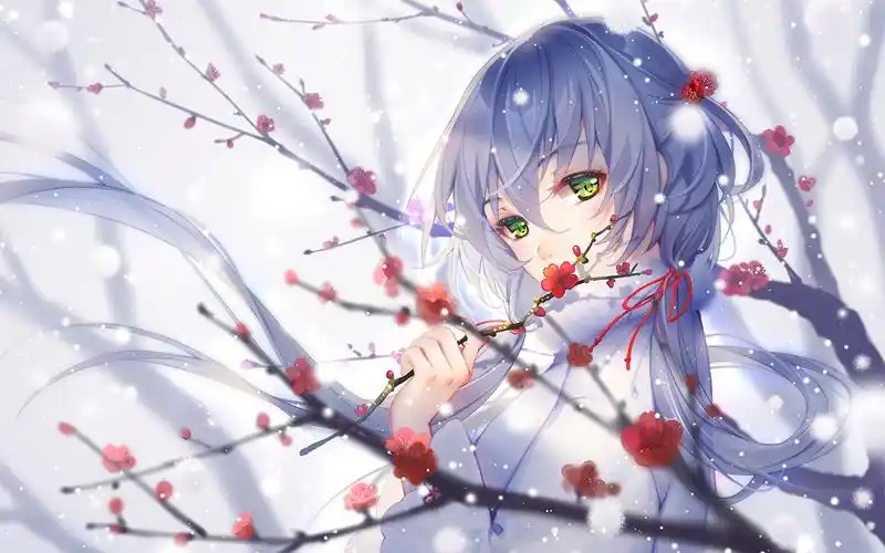 唯美二次元动漫美女图片桌面壁纸