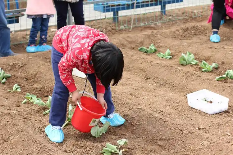 旅游 正文 正赶上有小朋友在种瓜点豆,话说如今的我们都五谷不分了