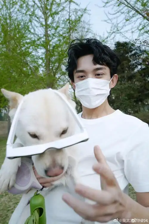 吴磊被拍到和助理买猫咪了诶93,恭喜年纪轻轻就实现猫狗双全!
