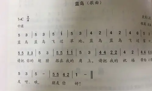 其它 金沙幼儿园第十三周周重点 写美篇活动二 音乐:蓝鸟(韵律) 活动