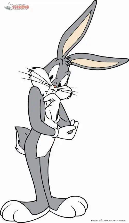 兔八哥有颜色简笔画