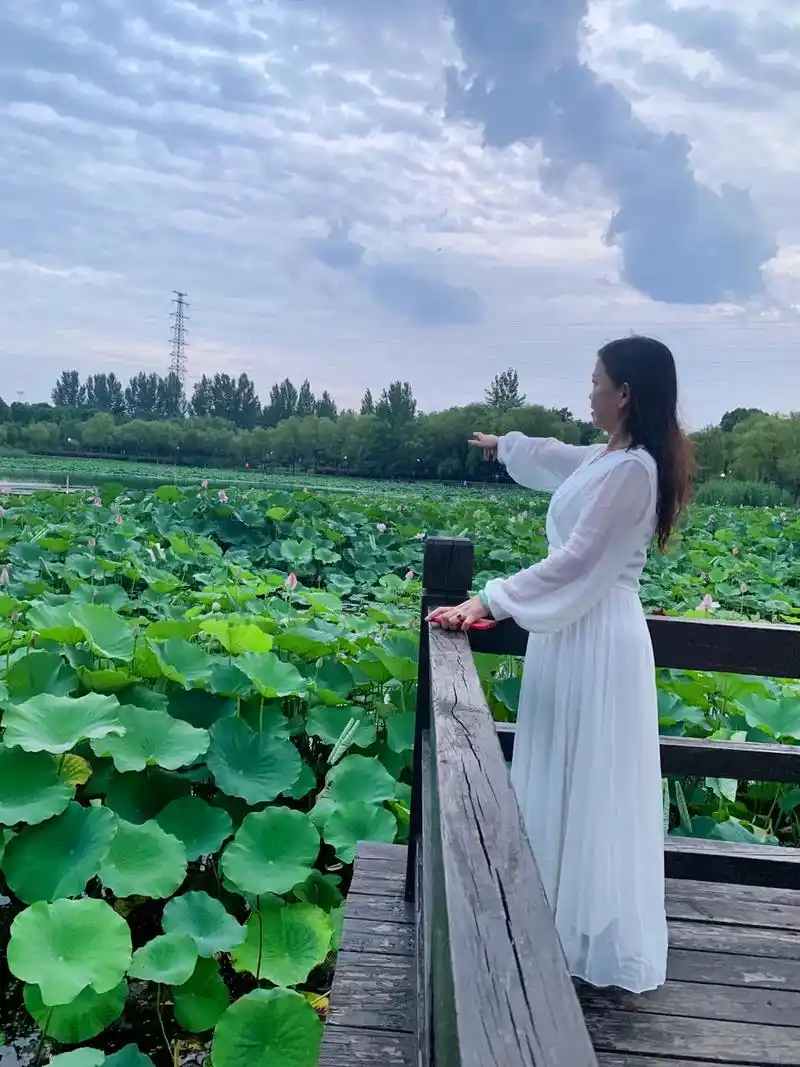 心如莲花 92爱荷的女子,心中有忧伤,也有明媚,有婉约#荷 - 抖音