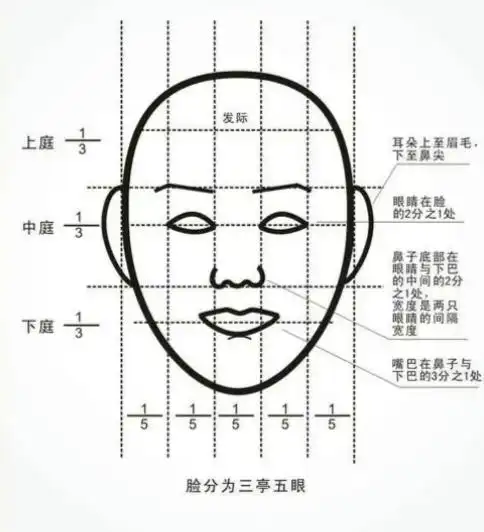 什么是三庭五眼优质