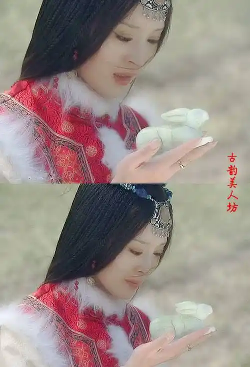 胡天鸽 - 高清图片,堆糖,美图壁纸兴趣社区