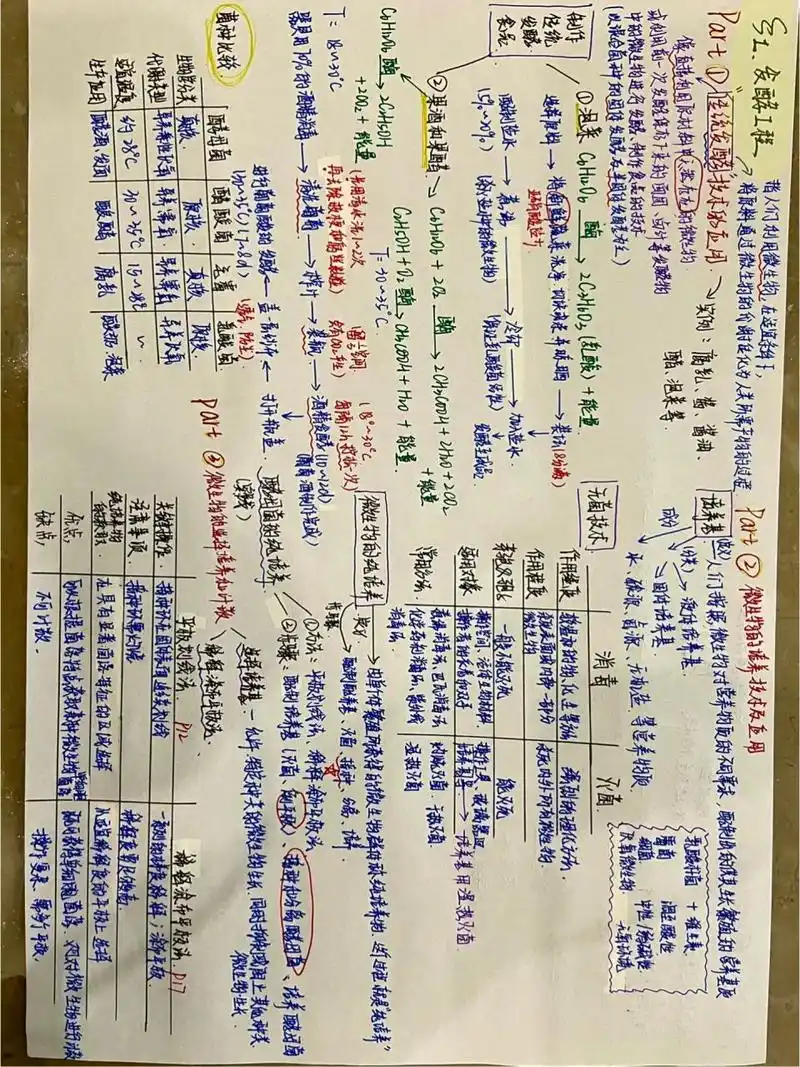 第一章发酵工程 适时整理一下旧知识,做个简单的思维导图,确实很有