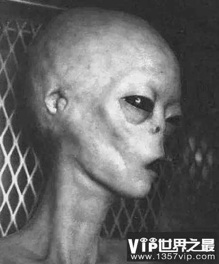 外星人不为人知十大特征_vip世界之最
