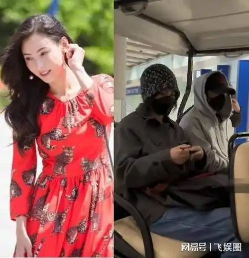 原创王菲谢霆锋机场撒狗粮张柏芝四胎生父依然是个谜