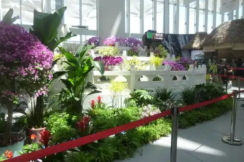 图46   室内景观19    花展
