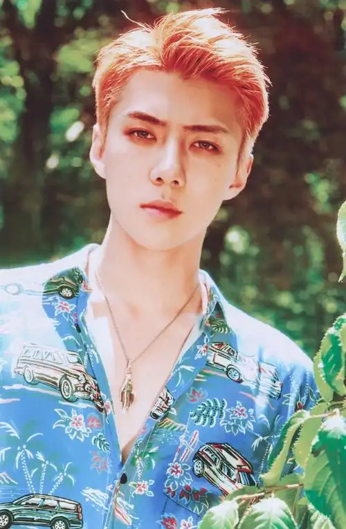 exo世勋kokobop