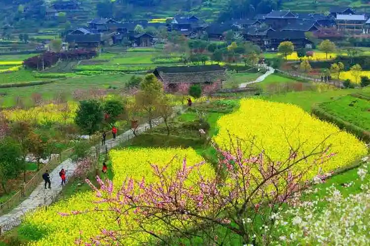 桃花源记中桃花源的景色_桃花源记最感兴趣的地方 - 密云旅游