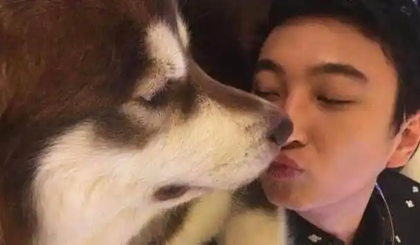 王思聪为避雨带狗坐私人飞机,狂撒狗粮,小编感受到了暴击!