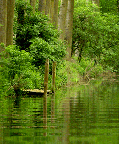 魂牵梦绕采集到动态风景