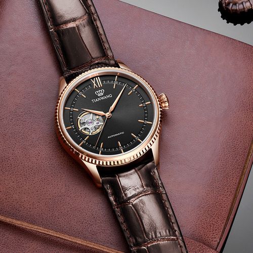 天王表男表昆仑系列机械表皮带休闲男士手表腕表gs51154