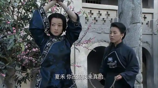 围屋里的桃花:恶婆娘惹了众怒,被夏禾当众用鞭子抽打,真解气-影视综