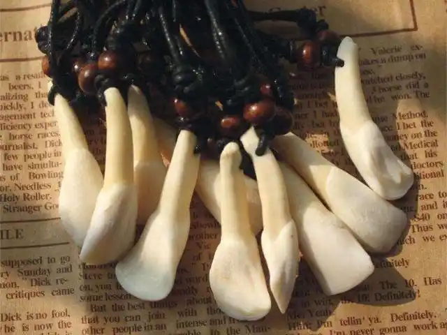 野猪大牙一些特殊的意义,诸如将其挂在屋内,或者佩戴在身上可以辟邪保