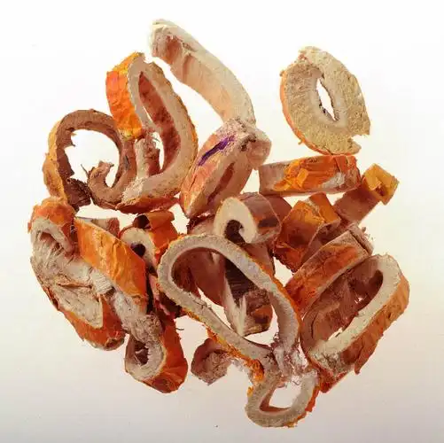 桑白皮桑叶是什么样的