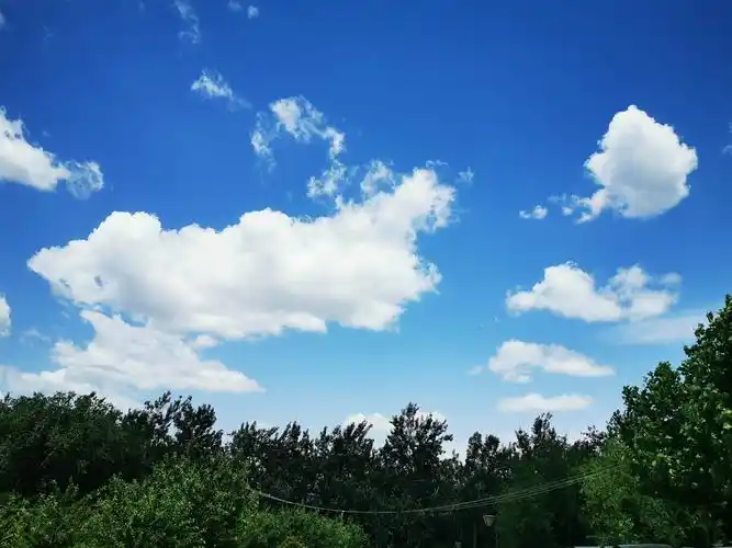 17小时前 0 带月荷锄归 蓝天白云,真的好美,蓝的澄澈,白的纯净,让人