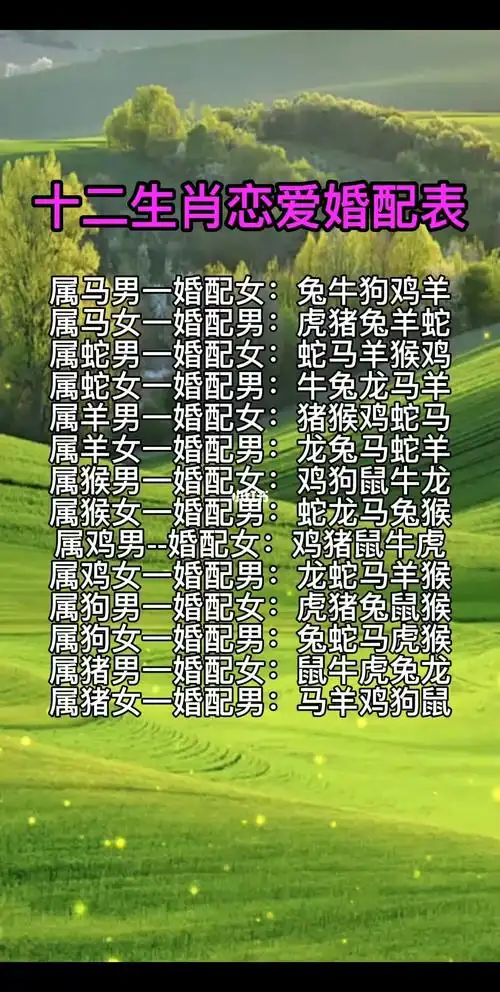十二生肖恋爱婚配表